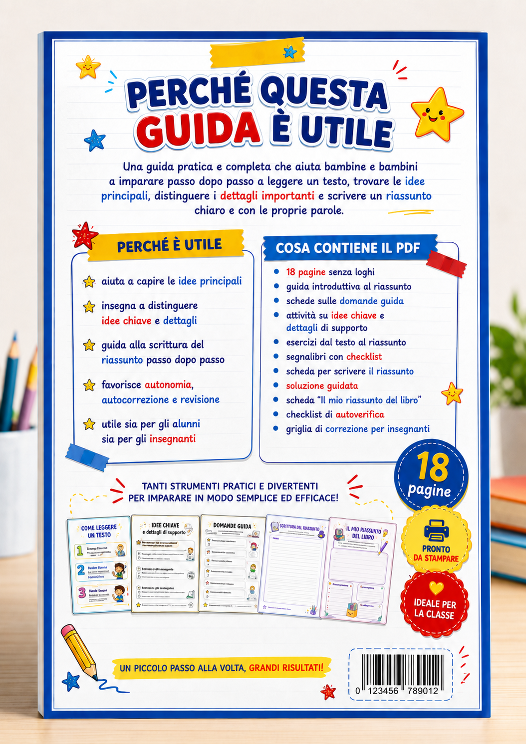 Retro copertina della guida al riassunto con contenuti del PDF