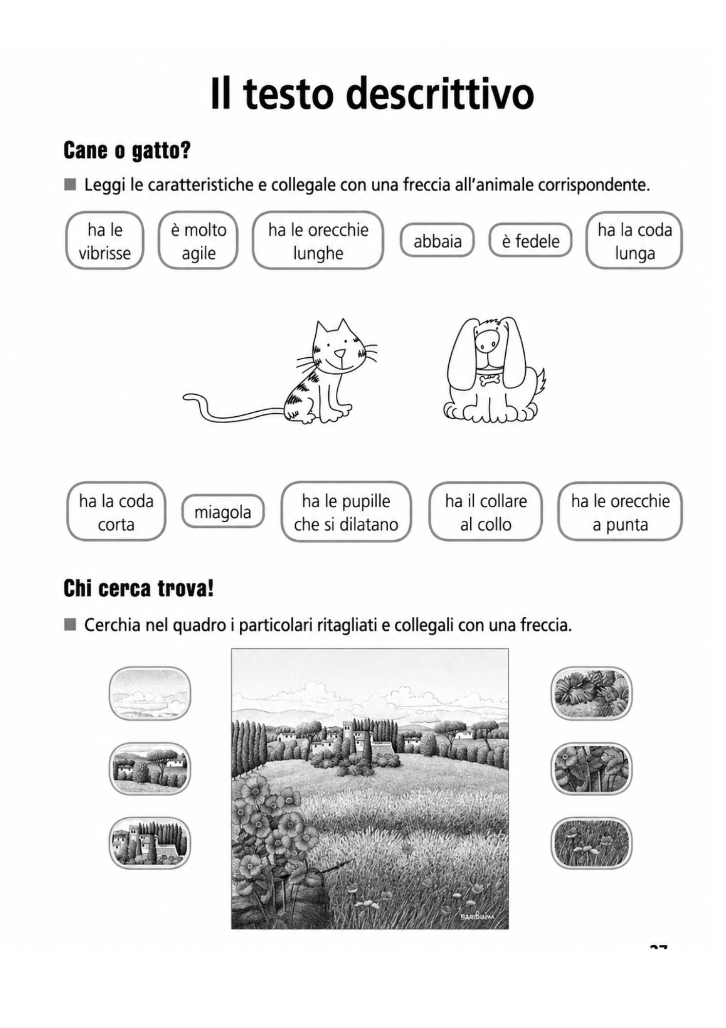 Anteprima scheda testo descrittivo cane gatto osservazione dettagli scuola primaria