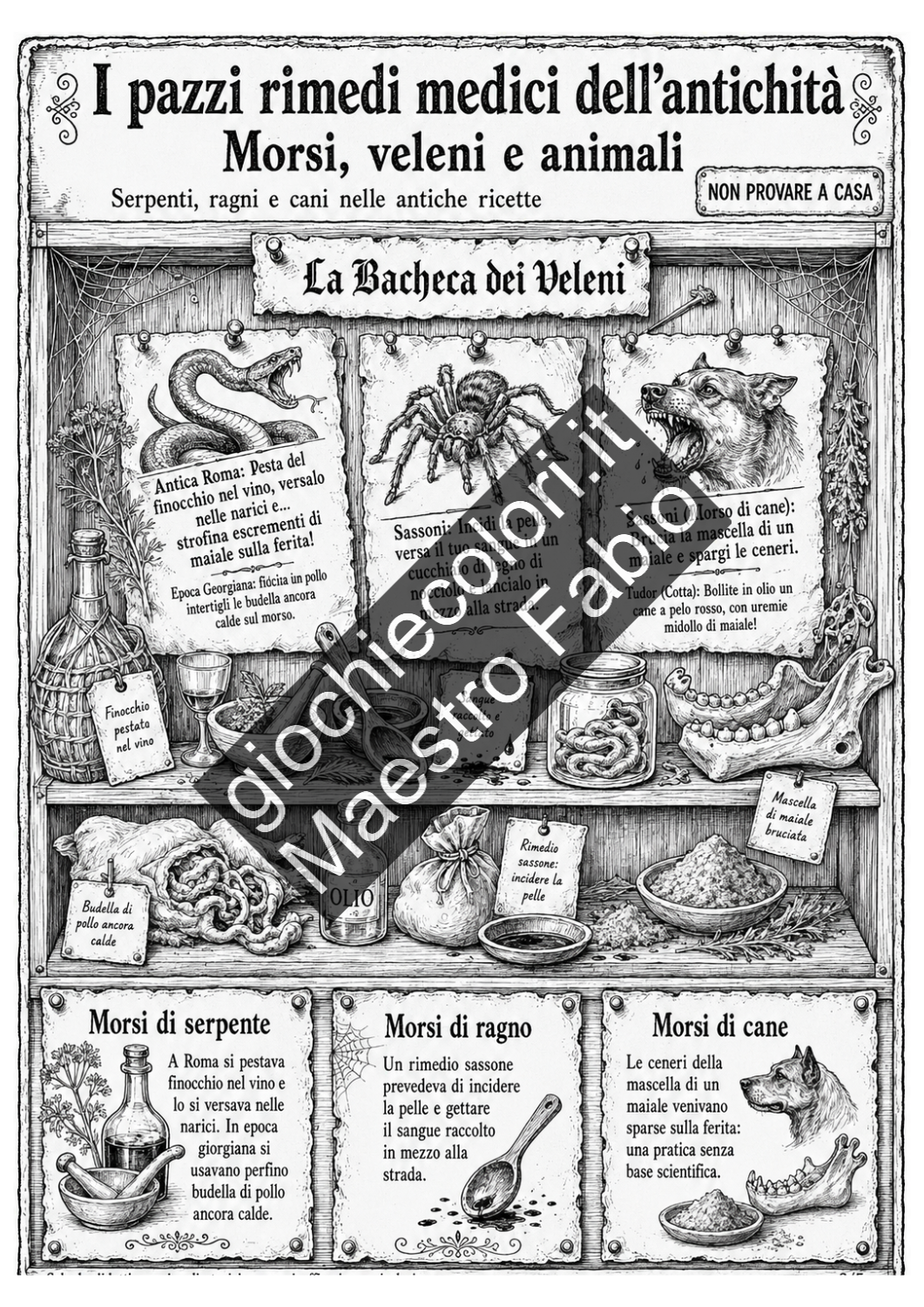 Anteprima gioco da tavolo e carte-domanda sulla medicina del mondo antico pagina 18
